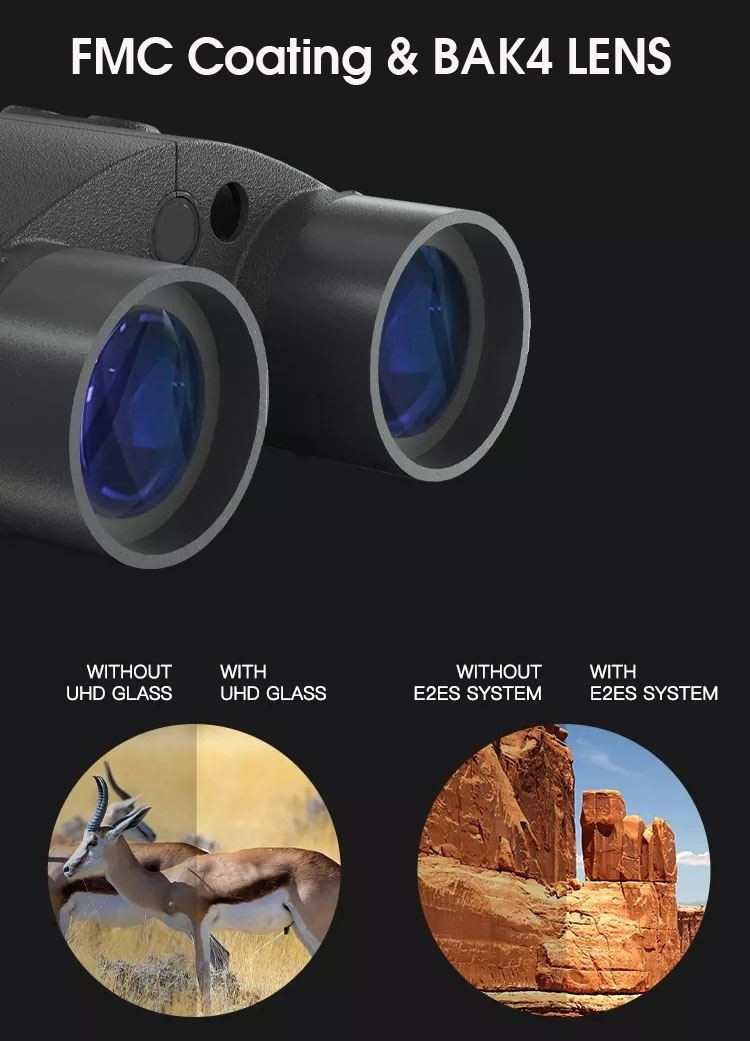 d4.jpg d4.jpg